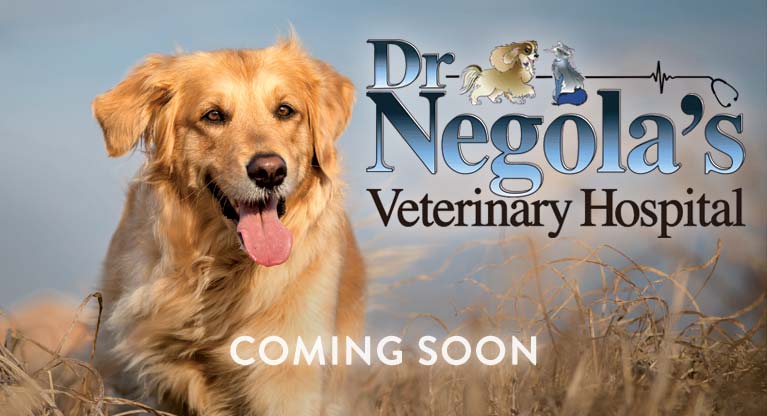 Dr. Negola's Vet coming soon