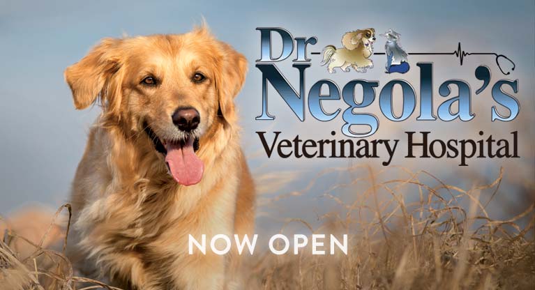 Dr. Negola's Veterinary Hospital Now Open